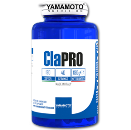 سی ال آ پرو یاماموتو-CLA Pro Yamamoto