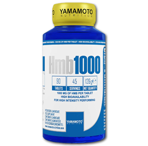 اچ ام بی 1000 یاماموتو-HMB 1000 Yamamoto