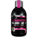 ال کارنیتین مایع بیوتچ-L-Carnitine 100.000 Liquid