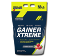 گینر اکستریم ای پی آی-API Gainer Xtreme