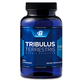 تریبولوس ترستریس بادی بیلدینگ-Bodybuilding Tribulus Terrestris