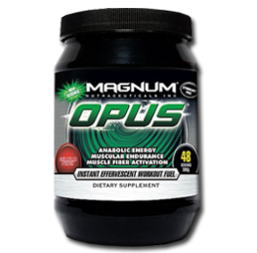 ریکاوری اپوس مگنوم-Magnum OPUS