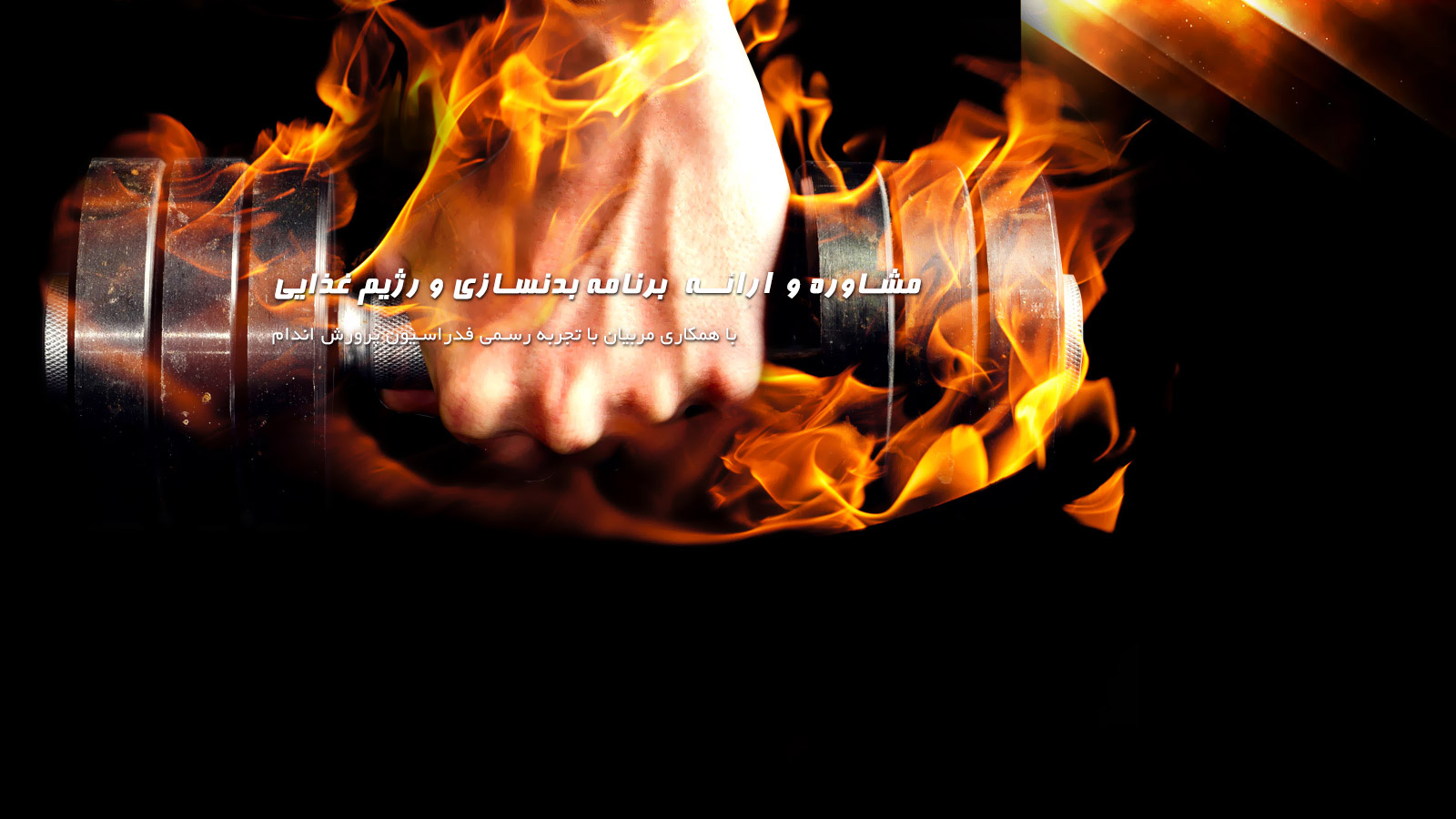 مشاوره و دریافت برنامه غذایی
