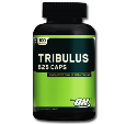 تریبولوس اپتیموم امریکا-Tribulus 