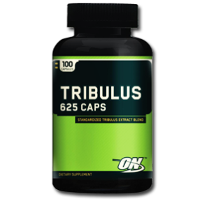 تریبولوس اپتیموم امریکا-Tribulus 