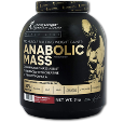 آنابولیک مس کوین لورون-Kevin Levrone Anabolic Mass