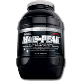 مس پیک اینر آرمور-Mass Peak Inner Armour