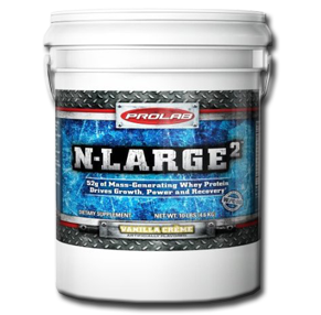 گینر ان لارج پرولب-N- LARGE2 PROLAB