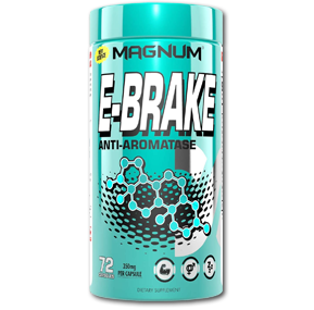 ای بریک مگنوم-Magnum E-Brake