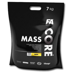 گینرمس کر فا-MASS CORE FA