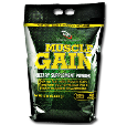 ماسل گین ماسل نوتریشن-Muscle Gain