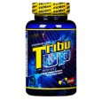 تریبولوس تریبو آپ فیتمکس-FitMax Tribu UP