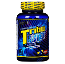 تریبولوس تریبو آپ فیتمکس-FitMax Tribu UP
