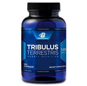 تریبولوس ترستریس بادی بیلدینگ-Bodybuilding Tribulus Terrestris