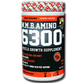 آمینو 6300 سوپر ریور-W.M.B. Amino 6300