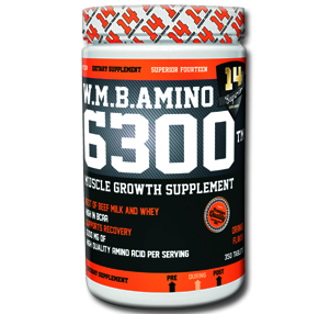 آمینو 6300 سوپر ریور-W.M.B. Amino 6300