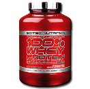 پروتئین وی حرفه ای سایتک-100% Whey Protein Professional
