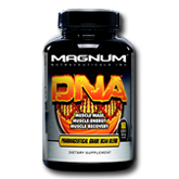 DNA  مگنوم